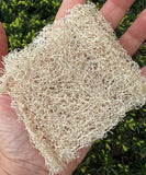 Natural Coconut Loofah Soap On A Rope - Exfoliating, Skin Healing & Rich Lather