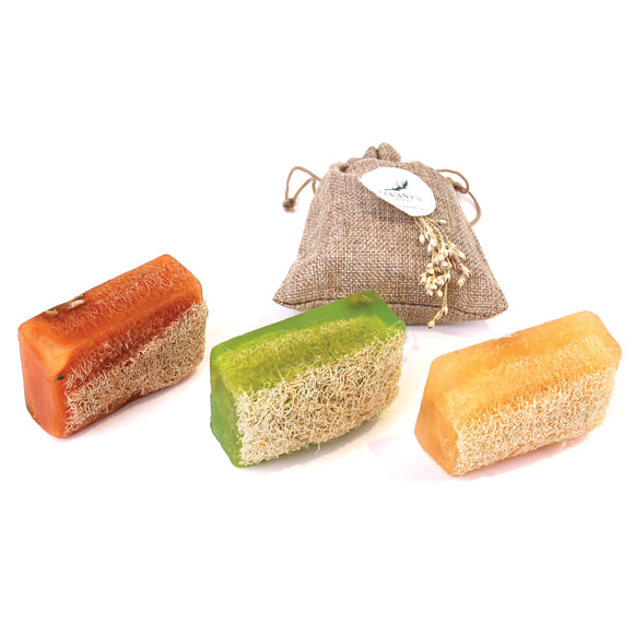 Exfoliating Loofah Soap Bar, Luffa Soap, 100% Handmade Soap - Nourishing, Hydrating, Moisturizing Soap For Face and Body - Glycerin Soap With Loofah Inside - GREAT For Sensitive Skin, 4.2 Oz.
